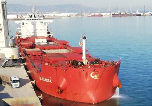Portsur bulk carrier castellón